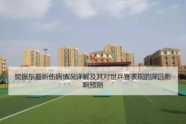 樊振东最新伤病情况详解及其对世乒赛表现的深远影响预测